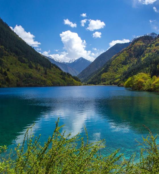 Tour Thành Đô - Cửu Trại Câu - Đô Giang Yển | Bay thẳng Chengdu Airlines